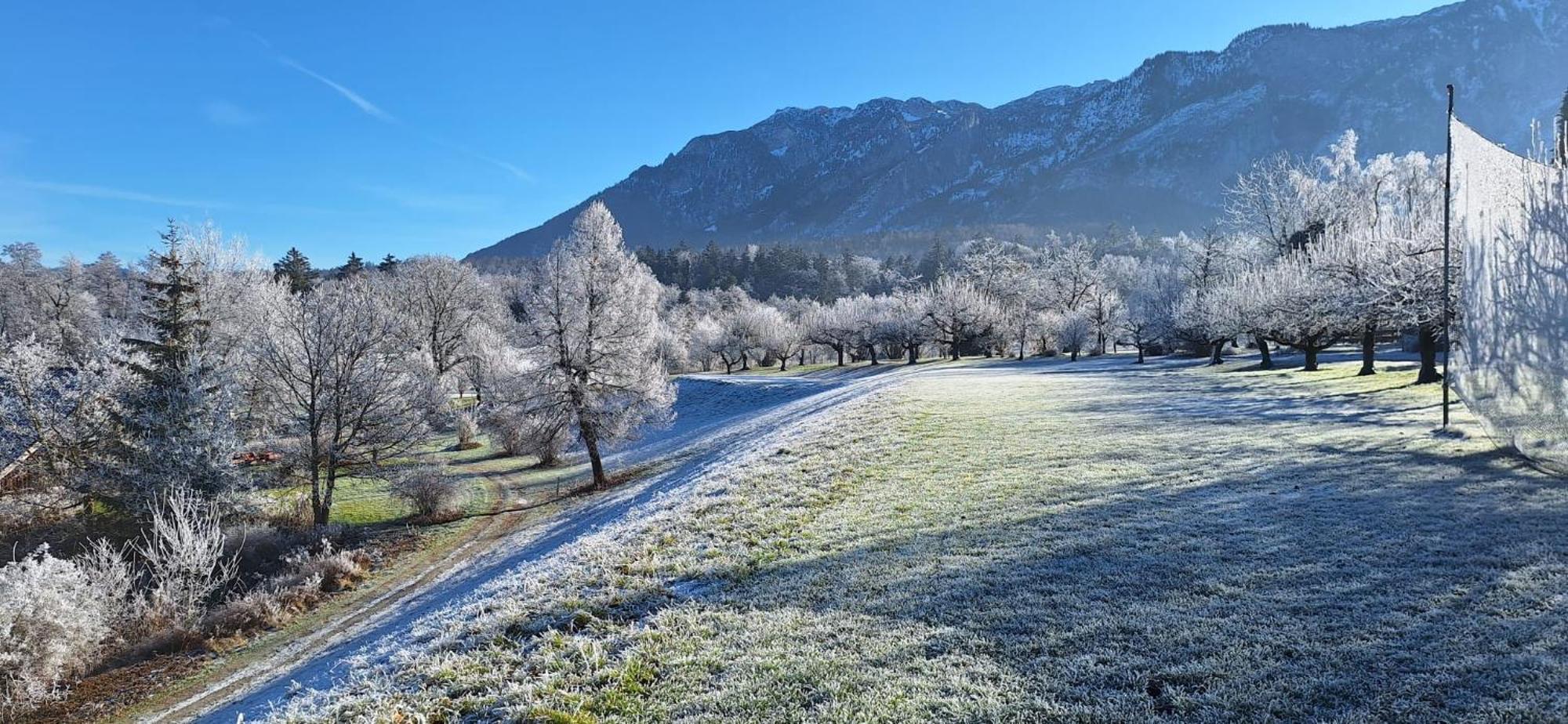 Schlossberghof Marzoll Bad Reichenhall Exterior foto